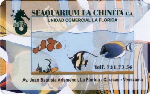 seaaquarium la chinita venta de peces en caracas